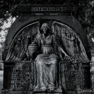 1_20220626-9A1A9026-ON1-Adolf-Wollstein