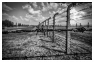 20080726-70-jahrestag-der-befreiung-von-auschwitz-2