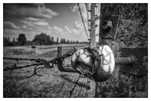 20080726-70-jahrestag-der-befreiung-von-auschwitz-3