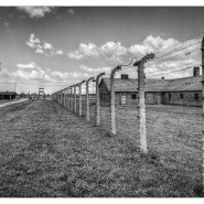20080726-70-jahrestag-der-befreiung-von-auschwitz