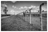 20080726-70-jahrestag-der-befreiung-von-auschwitz