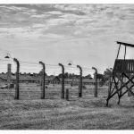 20120804-70-jahrestag-der-befreiung-von-auschwitz-3
