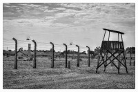 20120804-70-jahrestag-der-befreiung-von-auschwitz-3