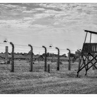 20120804-70-jahrestag-der-befreiung-von-auschwitz-3