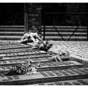 20120804-70-jahrestag-der-befreiung-von-auschwitz-5 20120804-70-jahrestag-der-befreiung-von-auschwitz-5