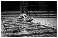 20120804-70-jahrestag-der-befreiung-von-auschwitz-5