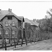 20120804-70-jahrestag-der-befreiung-von-auschwitz 20120804-70-jahrestag-der-befreiung-von-auschwitz