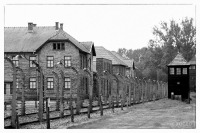 20120804-70-jahrestag-der-befreiung-von-auschwitz