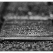 20150127-stolperstein_0 20150127-stolperstein_0