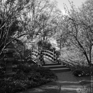 20150417-japanische-Garten-Leverkusen-IMG_7016