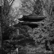 20150417-japanische-Garten-Leverkusen-IMG_7066 20150417-japanische-Garten-Leverkusen-IMG_7066