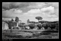 20151005-IMG_4317-Palatin