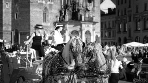 20190703-Krakowskie-dorozki-9A1A0404