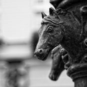 20190925-Opole-9A1A2613 20190925-Opole-9A1A2613