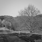 20200415-Gefahrengebiet-9A1A7090 20200415-Gefahrengebiet-9A1A7090