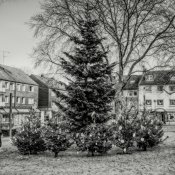 20201205-Ronsdorf-2-Advent-9A1A9954_Optimizer 20201205-Ronsdorf-2-Advent-9A1A9954_Optimizer