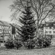 20201205-Ronsdorf-2-Advent-9A1A9954_Optimizer