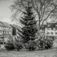 20201205-Ronsdorf-2-Advent-9A1A9954_Optimizer 20201205-Ronsdorf-2-Advent-9A1A9954_Optimizer