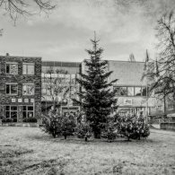 20201205-Ronsdorf-2-Advent-9A1A9961_Optimizer 20201205-Ronsdorf-2-Advent-9A1A9961_Optimizer