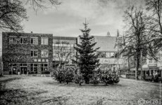 20201205-Ronsdorf-2-Advent-9A1A9961_Optimizer