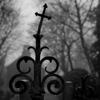 20210110-Friedhof-9A1A0522