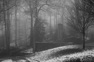 20210110-Gustav-Adolf-Uthmann-9A1A0529