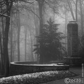 20210110-Gustav-Adolf-Uthmann-9A1A0541- 20210110-Gustav-Adolf-Uthmann-9A1A0541-