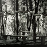 2022-03-28-9A1A5900-LR-ON1-K-Freitag