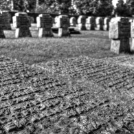 20220226-_A1A5232_BW-Artistic-ON1-Gefallen- 20220226-_A1A5232_BW-Artistic-ON1-Gefallen-