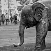 20240430-9A1A0688-Barmer-Tuffie