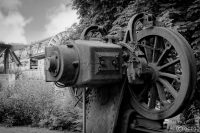 20240701-9A1A0980-BW-Juli-2024