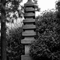 20250326-9A1A2999-Japanische-Garten-Duesseldorf 20250326-9A1A2999-Japanische-Garten-Duesseldorf