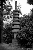 20250326-9A1A2999-Japanische-Garten-Duesseldorf