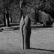 20250328-9A1A3007-Stein-Blume