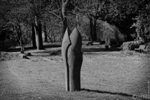 20250328-9A1A3007-Stein-Blume