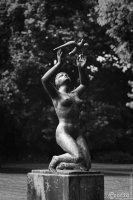 20250821-9A1A4032-Bearbeitet-Schlos-Moyland-