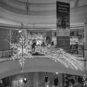 4CEC93C8-C788-44F0-AB0C-86249C777EB5