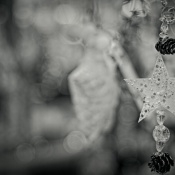 9A1A4041-ON1-1Advent-2022 9A1A4041-ON1-1Advent-2022