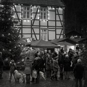 IMG_4022 IMG_4022