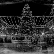 IMG_6817-1Advent2016 IMG_6817-1Advent2016