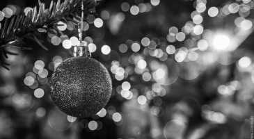 IMG_7044-2Advent2016