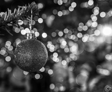 IMG_7044-2Advent2016