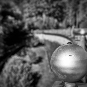 _MG_8431- _MG_8431-