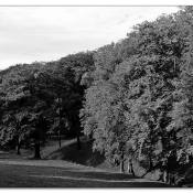 herbst-in-sw-iii herbst-in-sw-iii