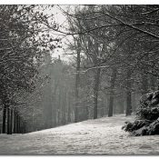 winter-einbruch winter-einbruch