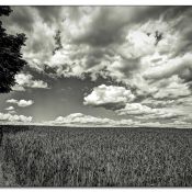 wolken wolken