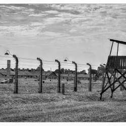 20120804-70-jahrestag-der-befreiung-von-auschwitz-3