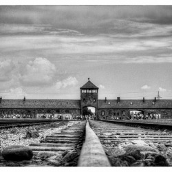 20120804-70-jahrestag-der-befreiung-von-auschwitz-4