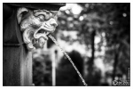 20140725-7