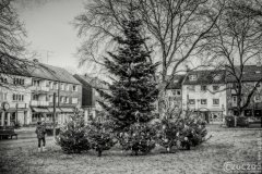 20201205-Ronsdorf-2-Advent-9A1A9954_Optimizer